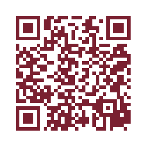 QR-Code zum APK-Download der Entwicklungs-Vorabversion von MyGeoTag